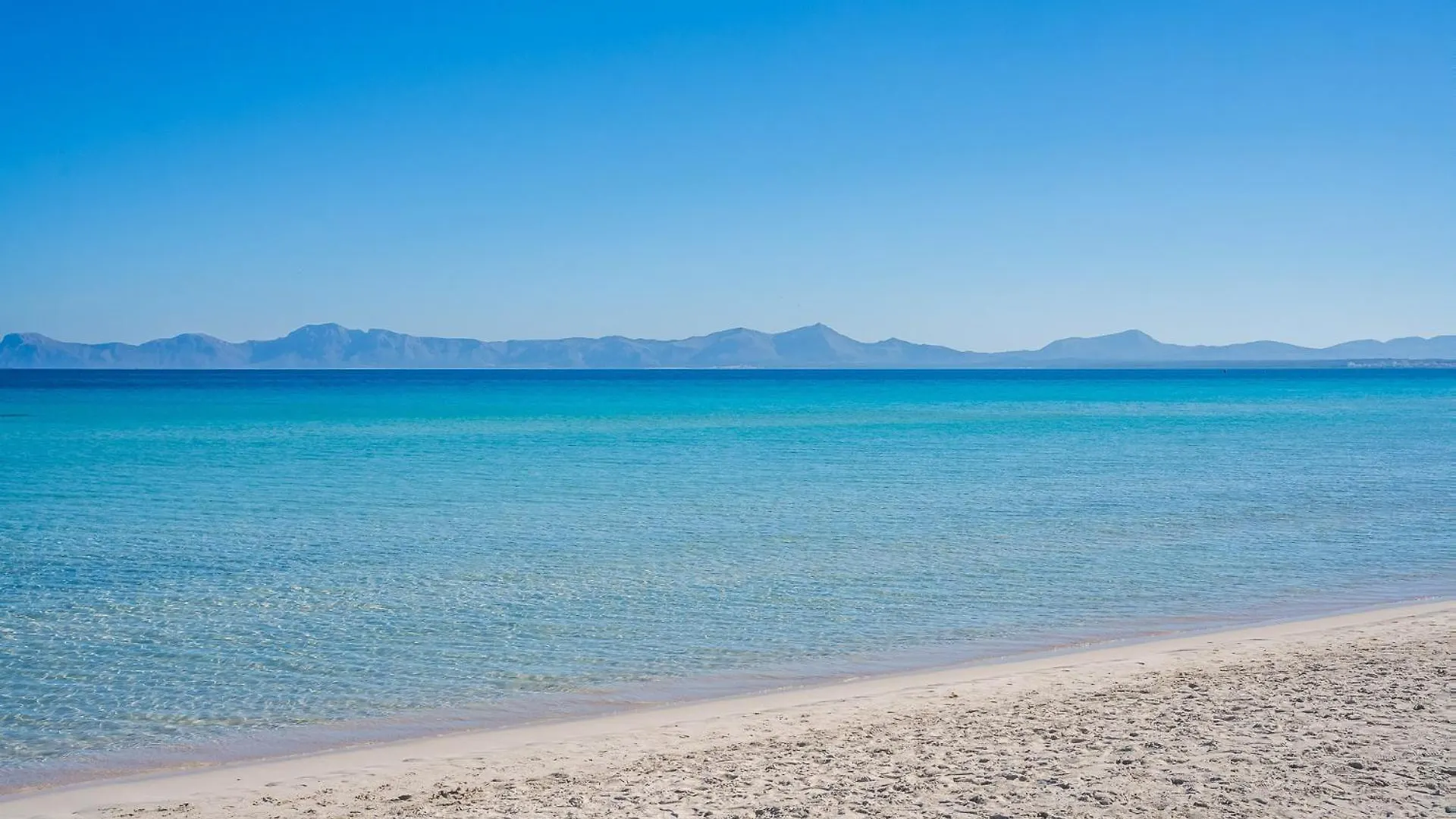 Ideal Property Mallorca - Ca Na Venta Lloret de Vistalegre Landhaus